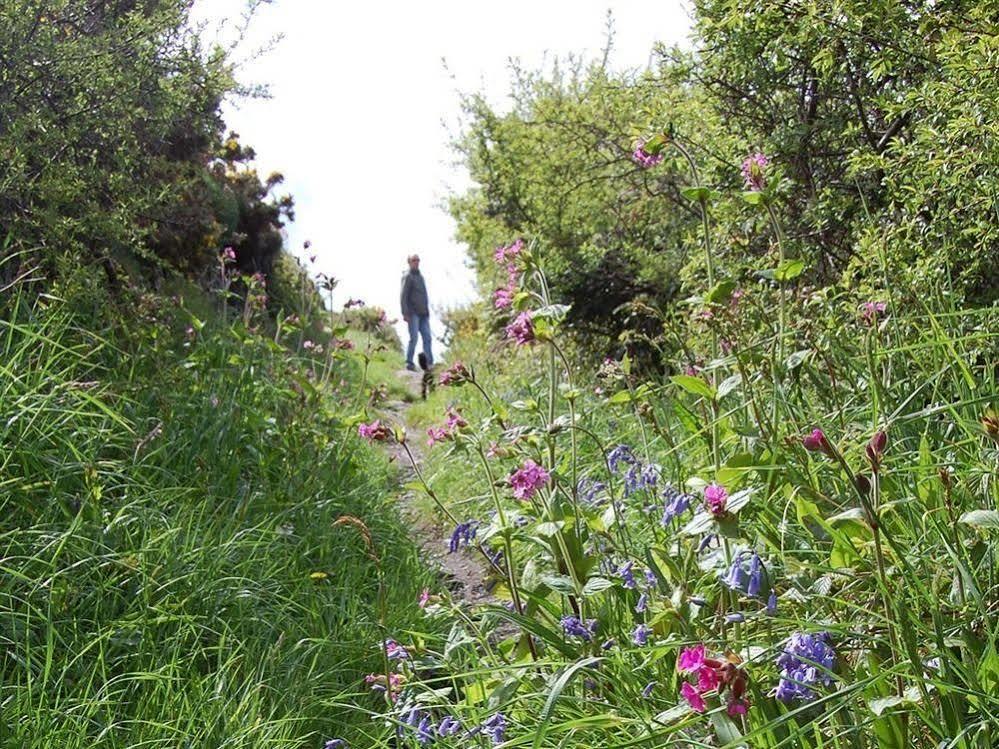 Cornish Valley View B&B Boscastle Exterior photo